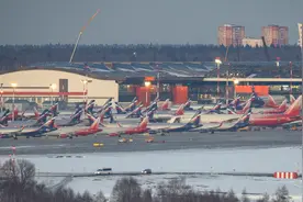 莫斯科谢列梅捷沃国际机场部分员工休假图片