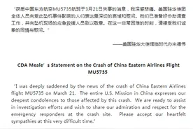 东航MU5735航班失事，美驻华大使馆临时代办发声明：深感悲痛图片