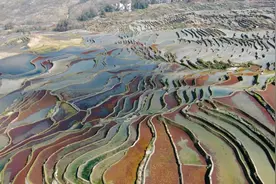 传承千年的“木刻分水”——哈尼梯田古老用水智慧代代传图片