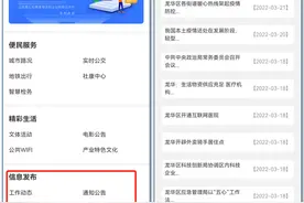 坐在家里也能办妥！龙华人专属“不见面”办事指南来了图片