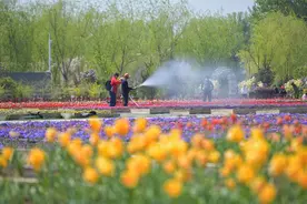 北京世园公园4月1日起实施实名制预约购票图片