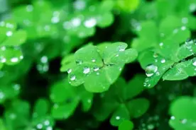 上海音乐学院推“音乐SPA”：以乐怡情，以声疗心图片