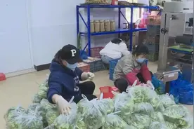 “随申办”上也可团购蔬菜，上海奉贤上线“贤农益起送”服务图片