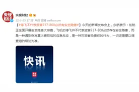 东航：停飞不代表波音737-800必然有安全隐患图片