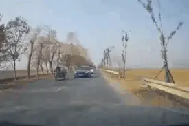 血的教训！一次会车，他当场身亡图片