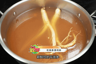 椰王鸡脚花胶汤 2025年椰子花胶鸡脚汤的做法