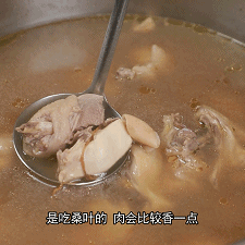 椰王鸡脚花胶汤 2025年椰子花胶鸡脚汤的做法