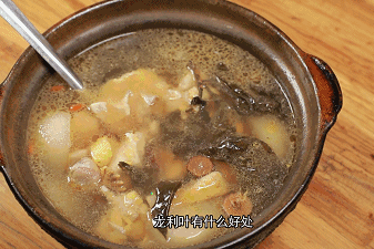 椰王鸡脚花胶汤 2025年椰子花胶鸡脚汤的做法