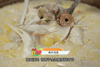 椰王鸡脚花胶汤 2025年椰子花胶鸡脚汤的做法