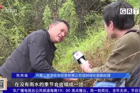 韶关丹霞山发现亚洲特有新物种——丹霞呵叻蛛视频封面