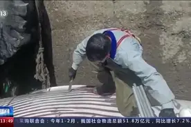 死亡小鳁鲸搁浅大连一海滩 专家现场排“鲸爆”图片