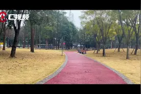 花式迎大运 各路萌娃秀出“十八般武艺”图片