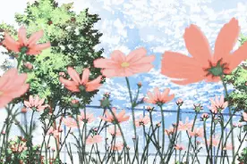 壹点日历8.18|每天保持阳光心态，生活明朗万物可爱！早安图片