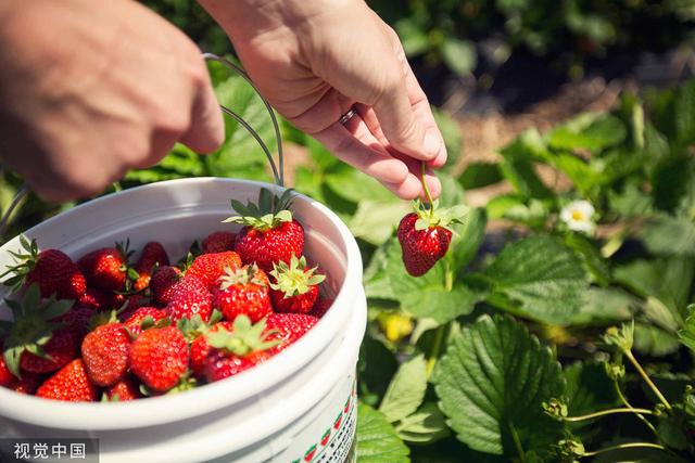 鑽夎帗锛屽埌搴曞嚟浠€涔堟垚涓衡€滄灉鍦堥《娴佲€濓紵