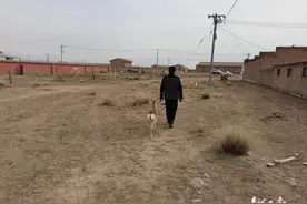 湖畔牧家，小原羚“豆豆”认亲记图片