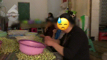 太恶心了！大家平常买的蚕豆可能是这样剥出来的…图片