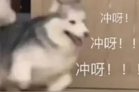 小学生为啥都爱唱《孤勇者》？图片