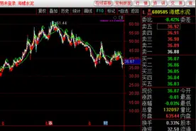 营收净利双双下滑，市值大缩水，“水泥茅”海螺水泥仍拟豪气分红图片