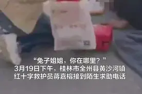 全州这位“兔子姐姐”又出动了！这次她救助了一位倒地路人图片