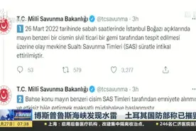 博斯普鲁斯海峡发现水雷  土耳其国防部称已摧毁视频封面