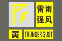 【贵州省气象灾害预警信号及防御指南】雷雨强风预警信号图片
