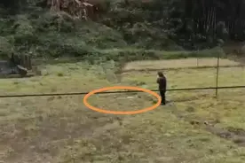 东航坠机核心区12公里外发现翼梢小翼残片，专家：或因颤振导致脱落图片