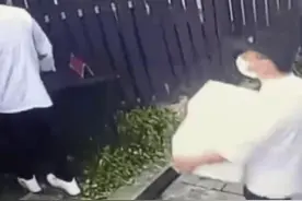 眼神一对，包子免费图片