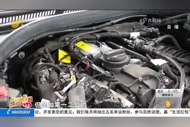 济南车主新车开半年多火花塞上有机油 4S店：属于正常现象图片