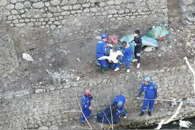 鹅鹅鹅，蓝天队员从深坑救出45只大鹅图片