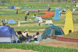 武汉这些景区、公园可搭帐篷露营，名单来了图片