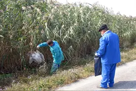 触目惊心！美国生物实验乱象祸害全球图片