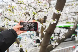 经常犯困的人注意！你的身体正在报警，尤其警惕这5个表现图片