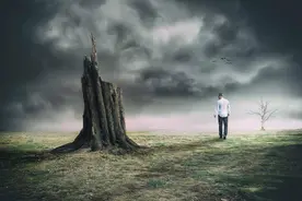 青未了｜苏庆龙专栏：命运图片