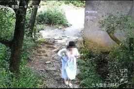 大学生景区坠亡，家属索赔90万被驳回！主审法官回应图片