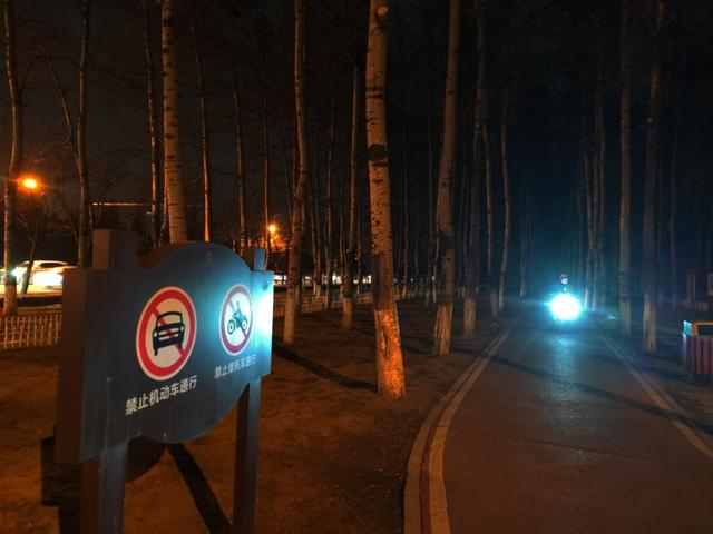 夏天枝叶繁茂的一面是（管庄路侧近800米长的路段没有路灯）