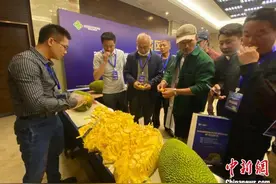 海南发布菠萝蜜团体标准 助推产业增收图片
