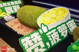 海南发布菠萝蜜团体标准 探索破解产销对接难题图片