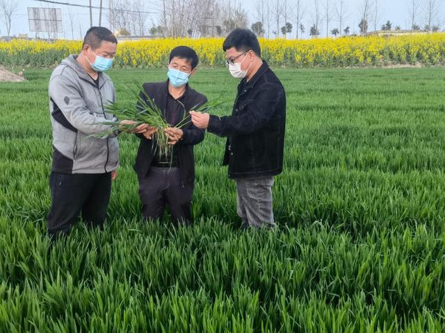 2018安徽农业机械展