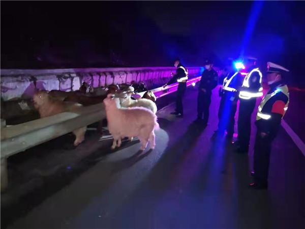 有困难我都在！昆明交警以服务优化展现“暖男”温情