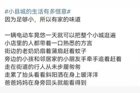 回县城可不是“没出息”图片