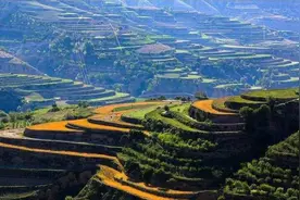 青未了｜村庄里的鸟声图片