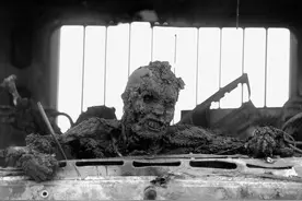 真相 | 制造无数“死亡公路”，美国装什么“白莲花”？图片