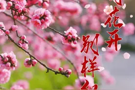 淄博位列全国地级文明城市第29名、山东第1！2021年度文明城市测评成绩揭晓图片