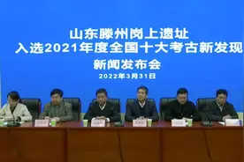 实证中华文明五千年！山东滕州岗上遗址为目前最大的大汶口文化城址图片