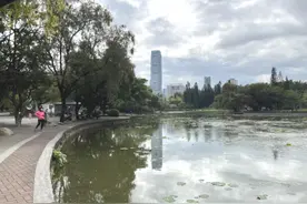 市民在深圳洪湖公园发现粉红色虫卵，千万别碰图片