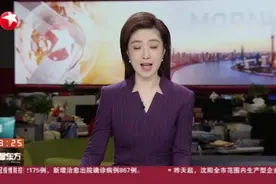 上海：12345热线满负荷运转  全力保障市民需求视频封面