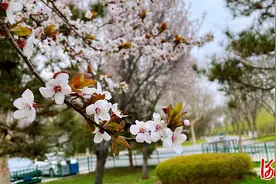 河北石家庄市动物园邀您踏青赏春，呆萌可爱小动物等你来图片