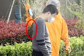 安徽一男子在楼下与朋友聊天，背后突然爬满蜜蜂图片