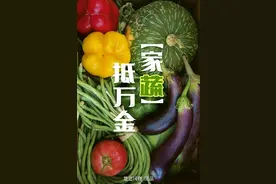 助力你的“囤菜大业”，中国蔬菜大省们到底有多猛？图片