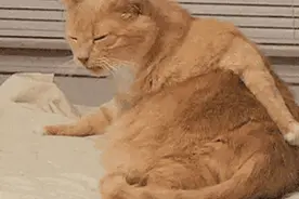 换季衣物直接穿？小心螨虫随身带图片